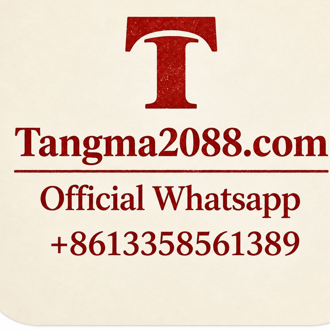 tangma2088 Official WhatsApp Support +8613358561389 🚀 PREMIUM FASHION WHOLESALE!